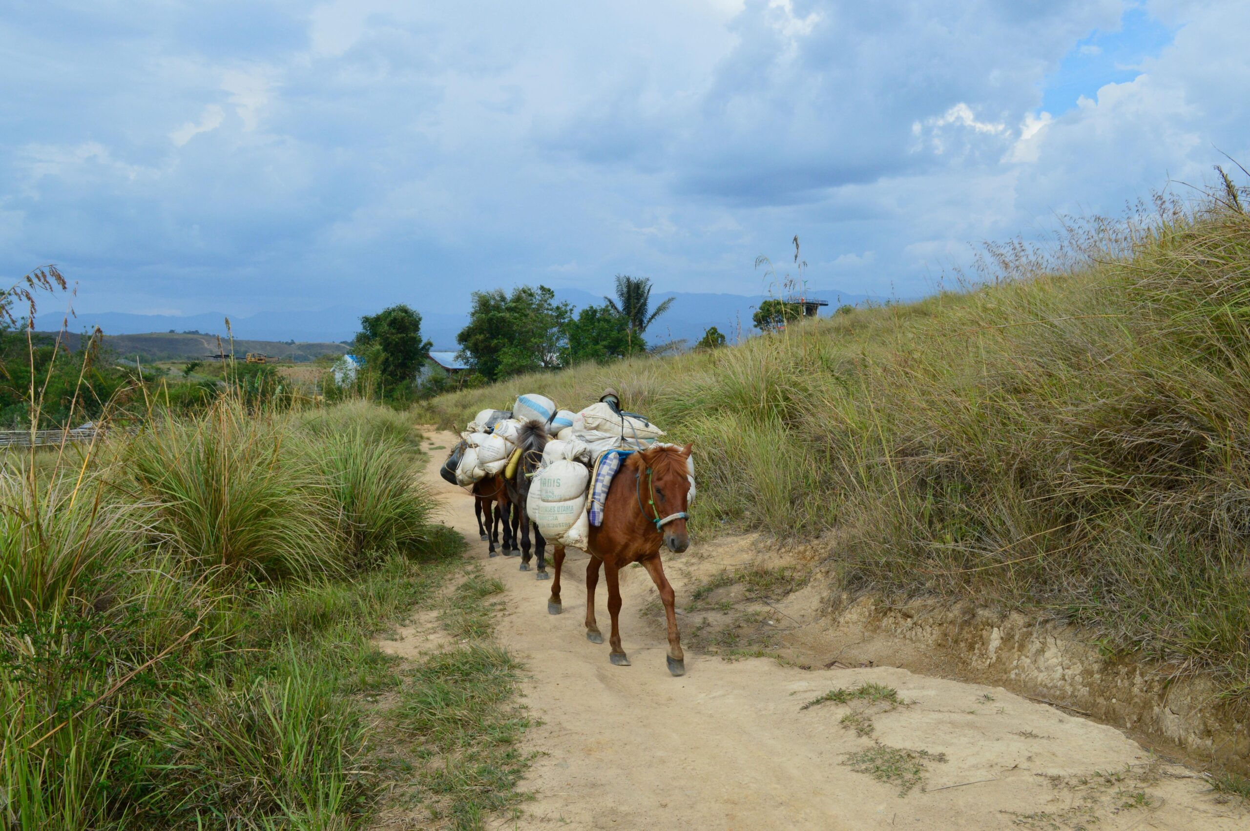 patteke, a traditional transportation