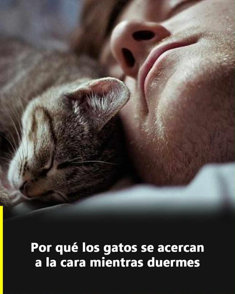 10 Consejos para una Vida Saludable EN AFRICA