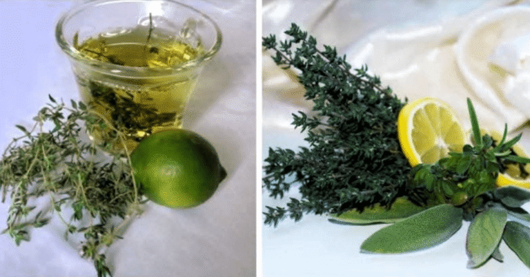 Descubre el poder curativo de esta planta contra parásitos, infecciones urinarias, herpes y más…