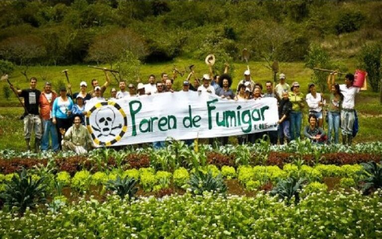 Descubre los alimentos con un peligroso herbicida