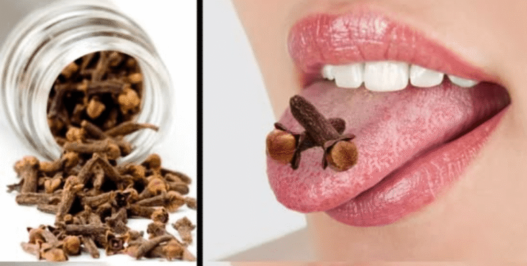 ¡El enigma de masticar clavel dulce revelado!