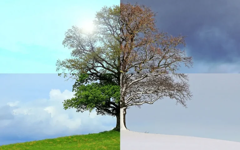 La Tierra perdió su ritmo: descubren que las estaciones del año están desincronizadas por el cambio climático.