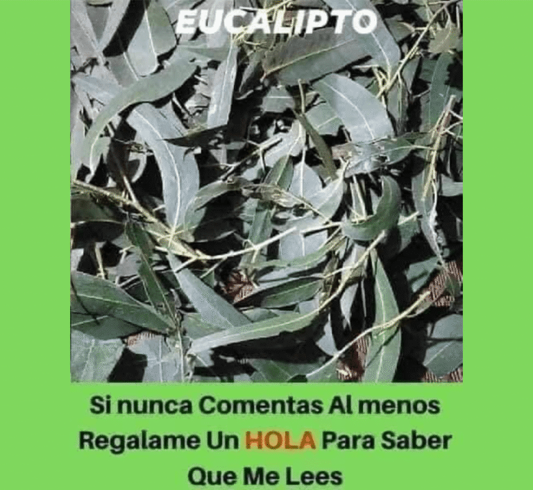 Repelente Casero Anti-Mosquitos: Eco-Friendly y Eficaz – Guía de Salud