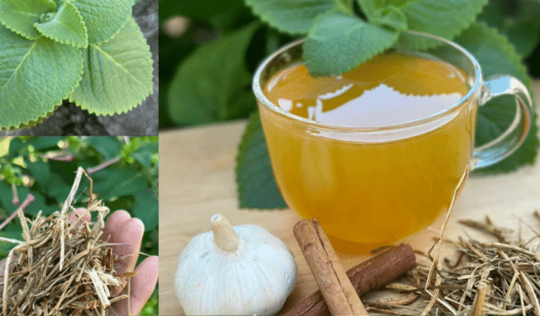 Revitaliza tu bienestar: Soluciones naturales para artritis, pies inflamados, circulación deficiente y dolor lumbar