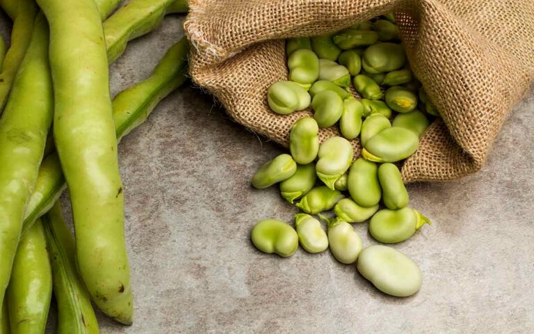 Descubrimientos Innovadores sobre las Legumbres y el Mal de Parkinson