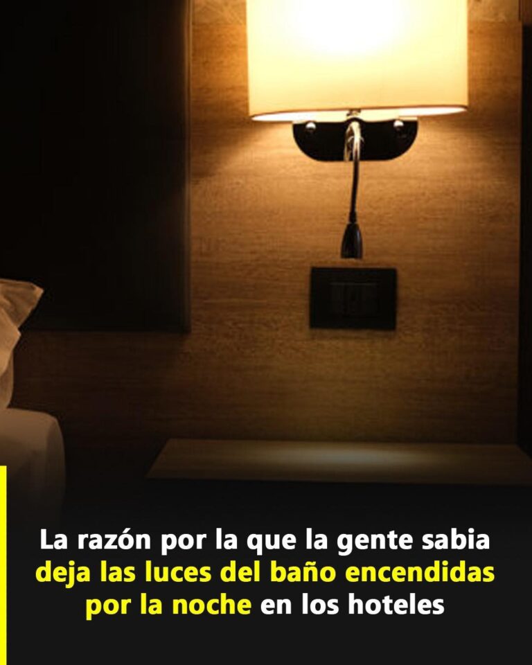 El Impacto de la Iluminación en la Salud en Baños de Hoteles: Secretos Revelados