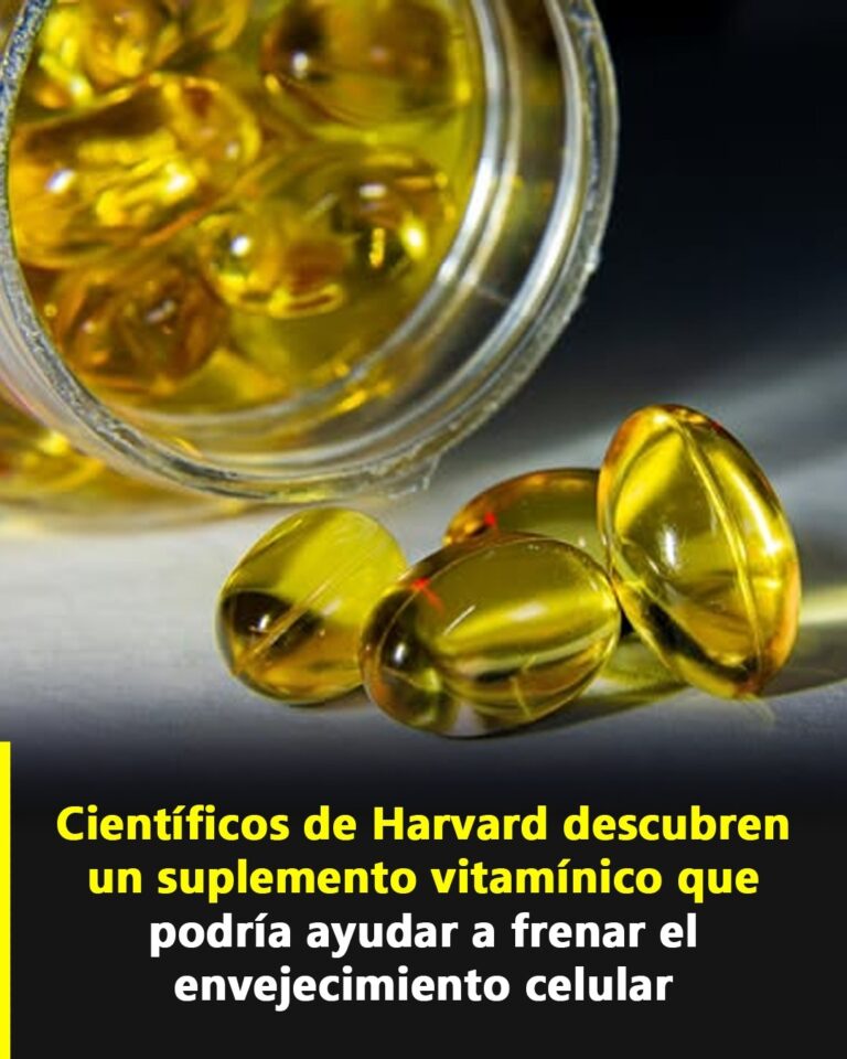 El Misterio Revelado: Cómo Revitalizar las Células en Harvard