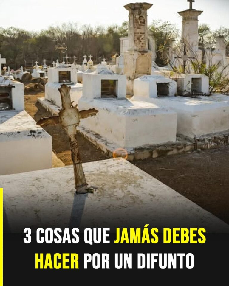 Guiando el duelo con sabiduría tras perder a un ser querido según la sabiduría bíblica