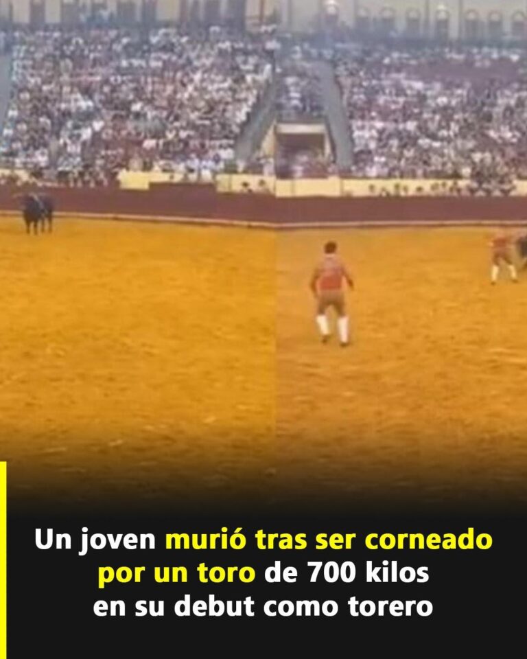 Trágico debut en Lisboa: Joven torero fallece en su primera corrida en Campo Pequeno