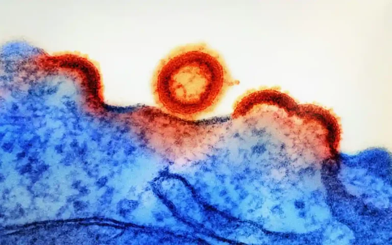 Desencadenando la Autodestrucción del VIH en Células: El Nuevo Avance Científico