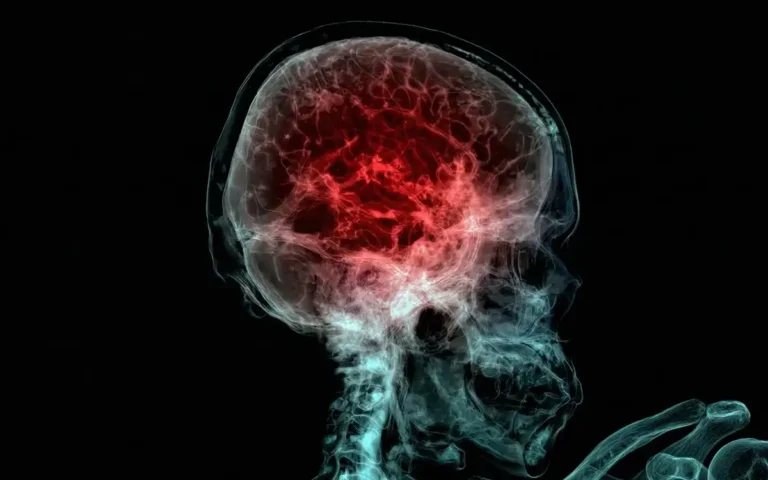 Investigación revela presencia de microplásticos en el cerebro humano, ¿qué impacto tiene en nuestra salud?
